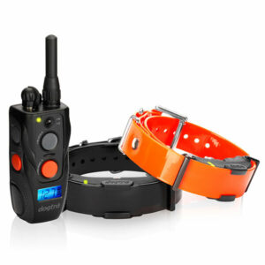 Dogtra ARC 802 FernTrainer