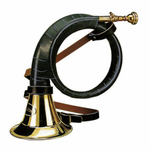 Fürst-Pless-Horn B