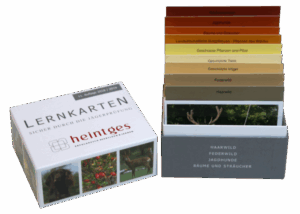 Heintges Lernkarten Jagd