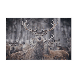 Lovergreen Outdoor Motiv Fußmatte Hirsch mit Herde